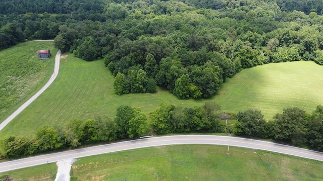 15 Hayes Ridge Rd, Indian Mound, TN 37079 - photo 9