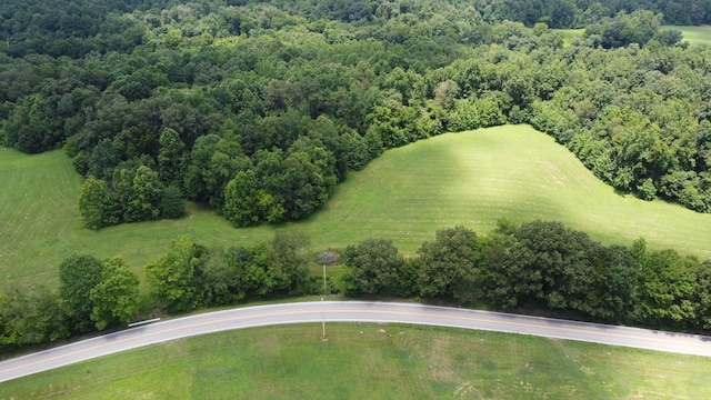 15 Hayes Ridge Rd, Indian Mound, TN 37079 - photo 2