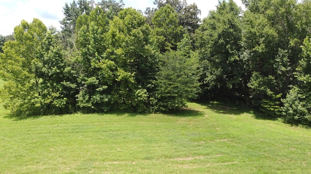 15 Hayes Ridge Rd, Indian Mound, TN 37079 - photo 4
