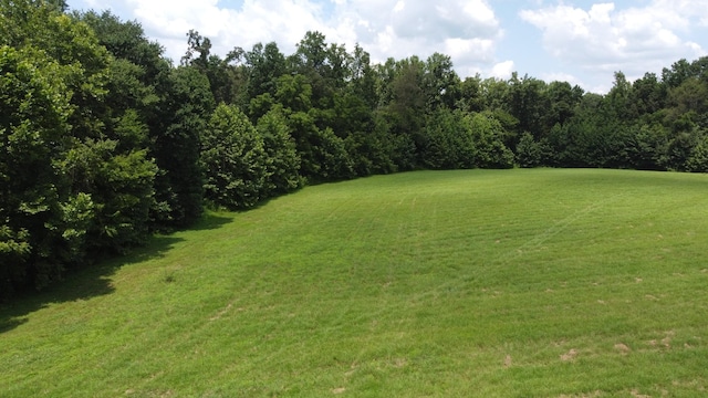 15 Hayes Ridge Rd, Indian Mound, TN 37079 - photo 5
