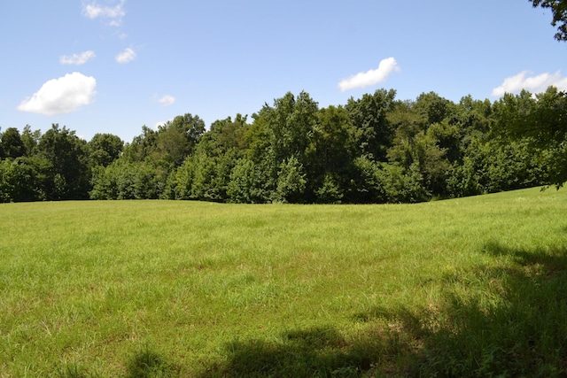 15 Hayes Ridge Rd, Indian Mound, TN 37079 - photo 13