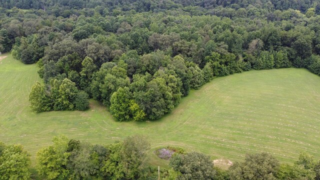 15 Hayes Ridge Rd, Indian Mound, TN 37079 - photo 10