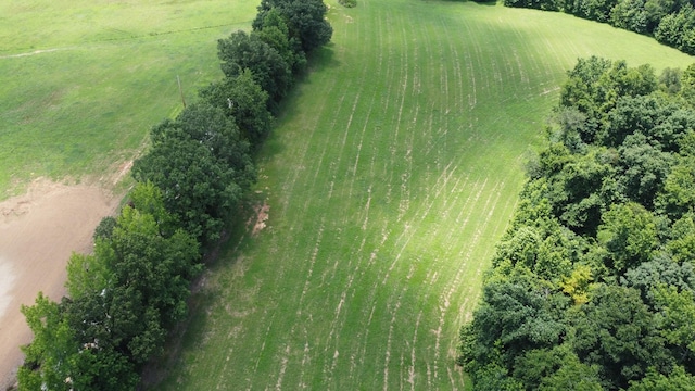 16 Hayes Ridge Rd, Indian Mound, TN 37079 - photo 6