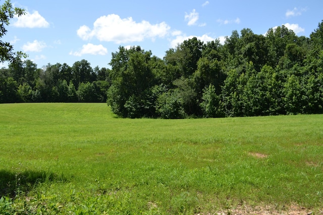 16 Hayes Ridge Rd, Indian Mound, TN 37079 - photo 11