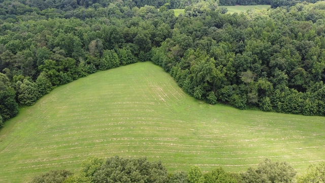 16 Hayes Ridge Rd, Indian Mound, TN 37079 - photo 9