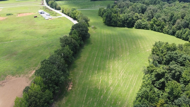 16 Hayes Ridge Rd, Indian Mound, TN 37079 - photo 5