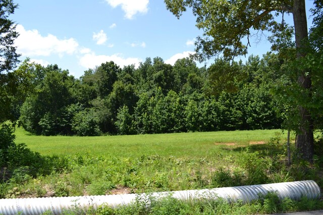 16 Hayes Ridge Rd, Indian Mound, TN 37079 - photo 10