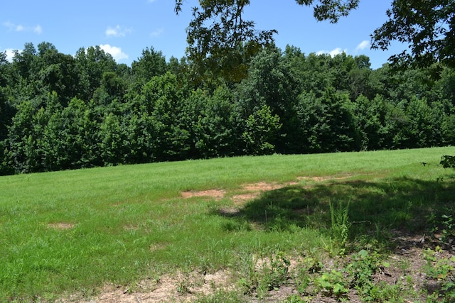 16 Hayes Ridge Rd, Indian Mound, TN 37079 - photo 12