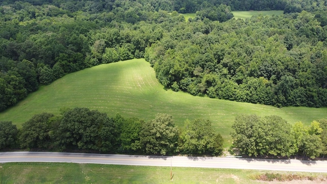 17 Hayes Ridge Rd, Indian Mound, TN 37079 - photo 7