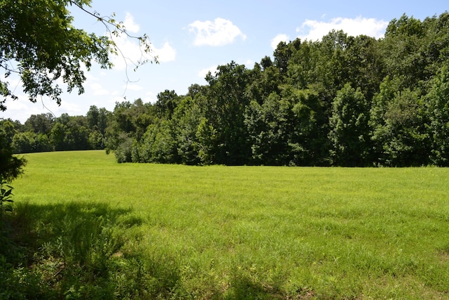 17 Hayes Ridge Rd, Indian Mound, TN 37079 - photo 13