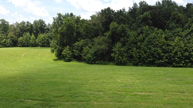 17 Hayes Ridge Rd, Indian Mound, TN 37079 - photo 4