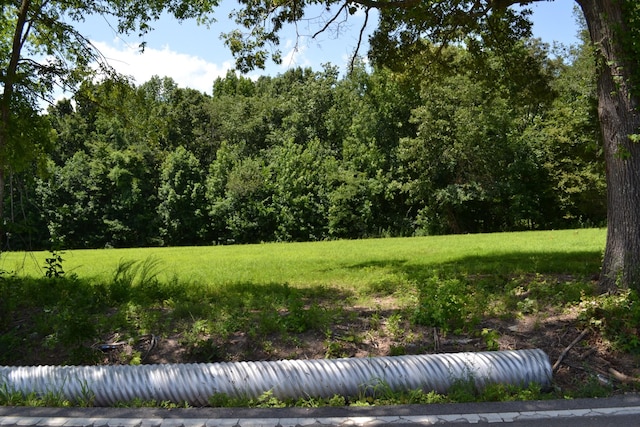 17 Hayes Ridge Rd, Indian Mound, TN 37079 - photo 10