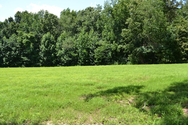 17 Hayes Ridge Rd, Indian Mound, TN 37079 - photo 12