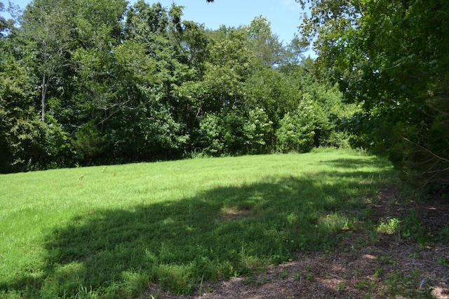 17 Hayes Ridge Rd, Indian Mound, TN 37079 - photo 11