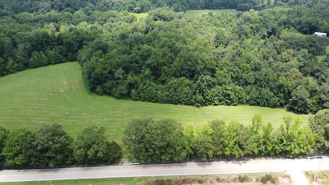 17 Hayes Ridge Rd, Indian Mound, TN 37079 - photo 1