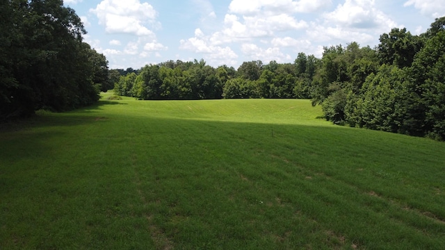 17 Hayes Ridge Rd, Indian Mound, TN 37079 - photo 5