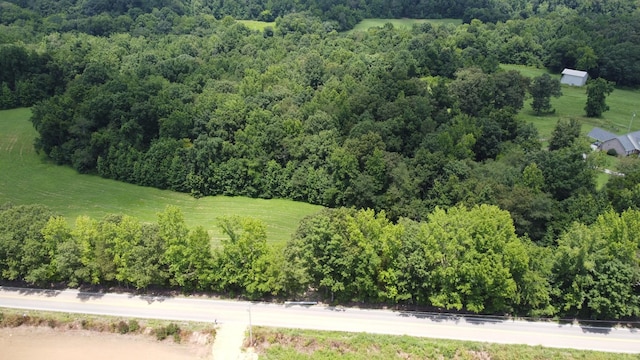 17 Hayes Ridge Rd, Indian Mound, TN 37079 - photo 8