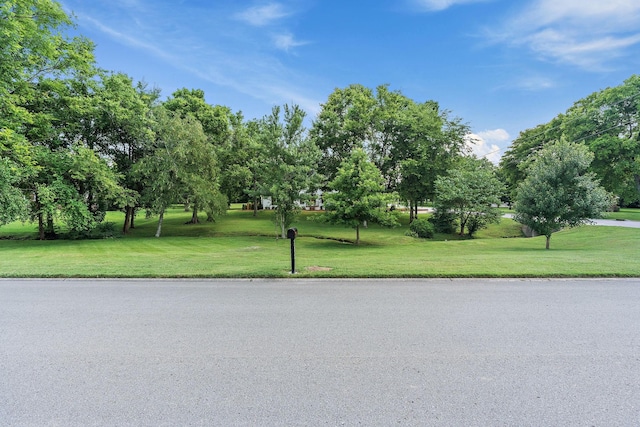 9209 Cherokee Ln, Brentwood, TN 37027 - photo 53