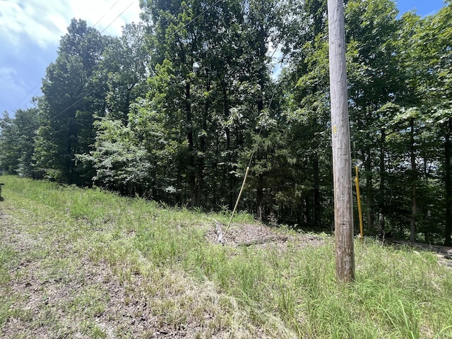 0 Eagle View Dr, Dover, TN 37058 - photo 1