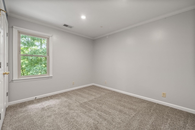 1723 Riverhaven Dr, Adams, TN 37010 - photo 28
