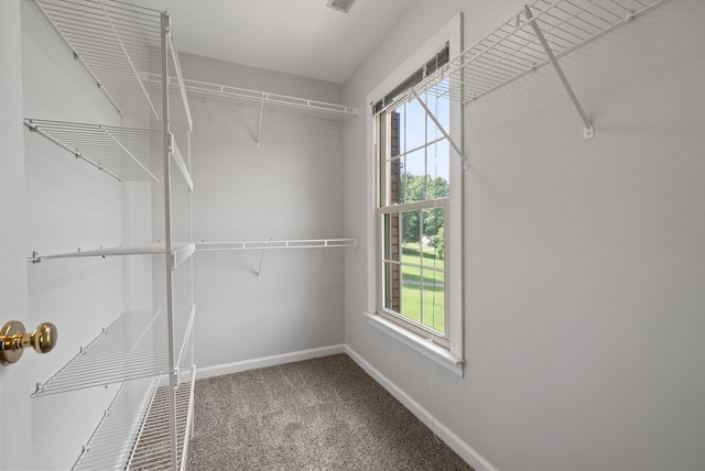 1723 Riverhaven Dr, Adams, TN 37010 - photo 24