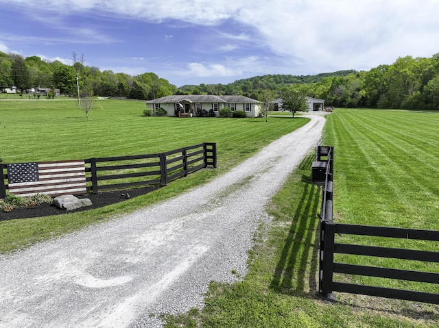 6865 Flat Creek Rd, College Grove, TN 37046 - photo 44