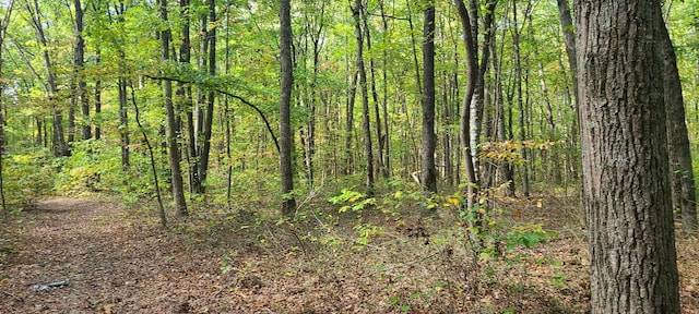 0 Rutledge St, Tracy City, TN 37387 - photo 21