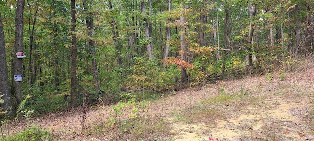 0 Rutledge St, Tracy City, TN 37387 - photo 6