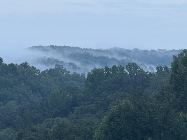 0 Grays Point Rd, Joelton, TN 37080 - photo 19