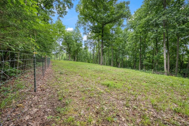 0 Grays Point Rd, Joelton, TN 37080 - photo 6