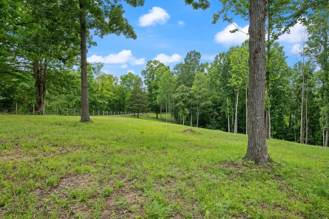 0 Grays Point Rd, Joelton, TN 37080 - photo 1