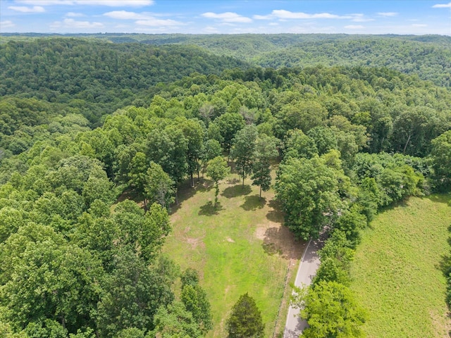 0 Grays Point Rd, Joelton, TN 37080 - photo 13