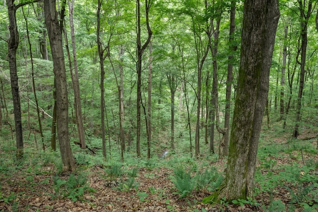 0 Grays Point Rd, Joelton, TN 37080 - photo 5