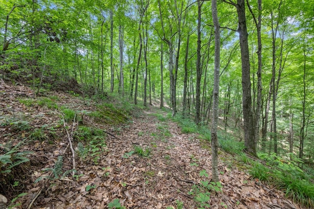 0 Grays Point Rd, Joelton, TN 37080 - photo 3