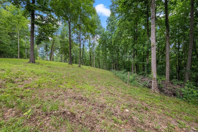 0 Grays Point Rd, Joelton, TN 37080 - photo 7