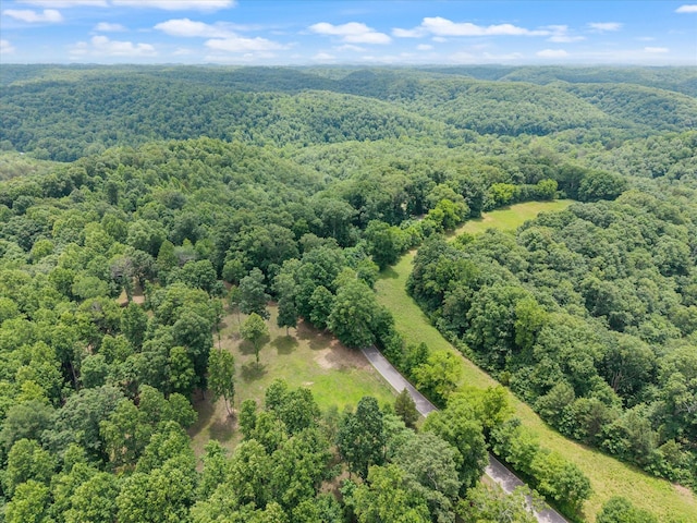 0 Grays Point Rd, Joelton, TN 37080 - photo 10