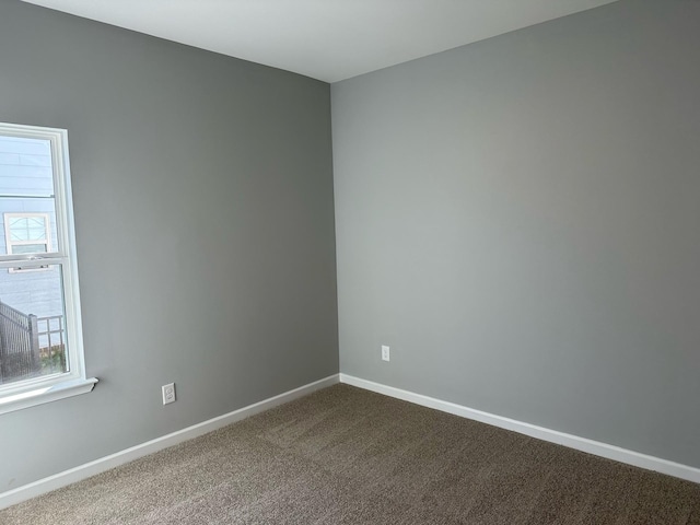 1009 Wiseman Farm Rd, Fairview, TN 37062 - photo 7