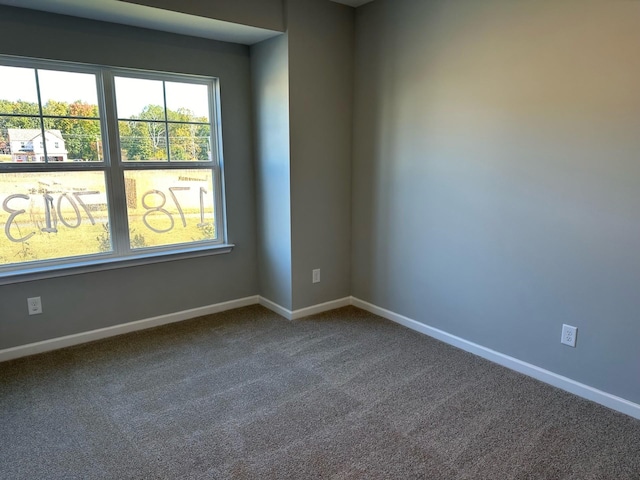 1009 Wiseman Farm Rd, Fairview, TN 37062 - photo 6