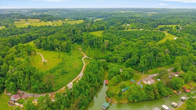 2T Barnes Ln, Lynchburg, TN 37352 - photo 4