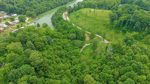 2T Barnes Ln, Lynchburg, TN 37352 - photo 5