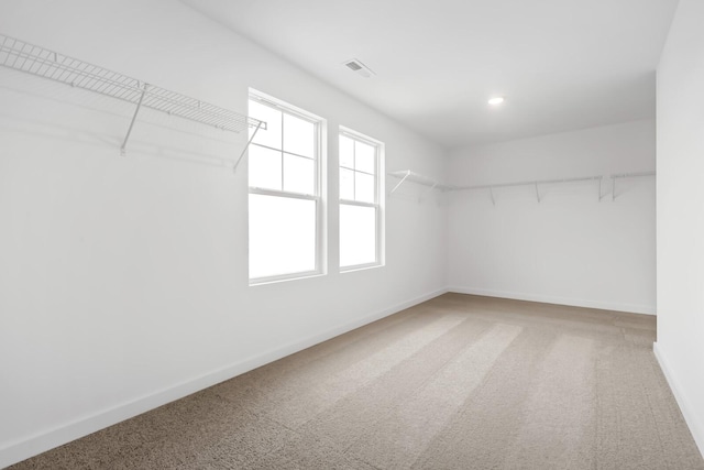 4171 Burton Dr, White House, TN 37188 - photo 27