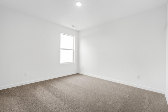 4171 Burton Dr, White House, TN 37188 - photo 29