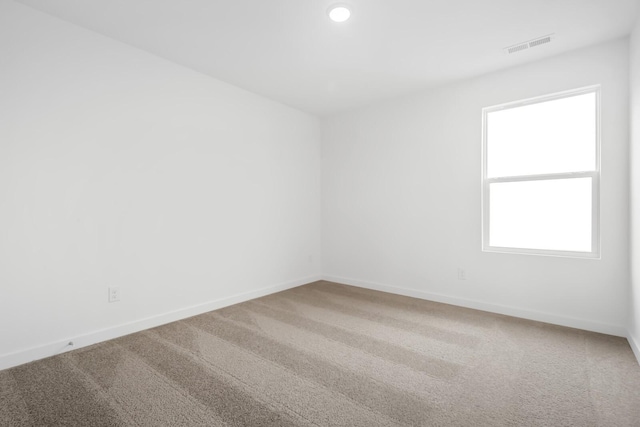 4171 Burton Dr, White House, TN 37188 - photo 30