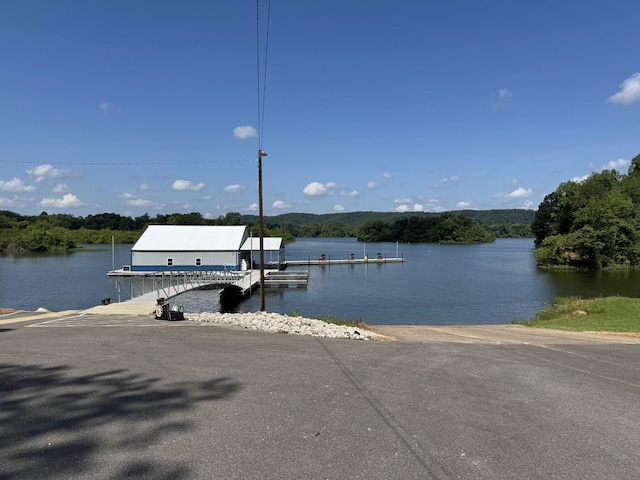 209 Ole Smokey Ln, Waverly, TN 37185 - photo 4