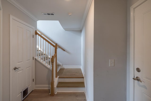 1754 Park Terrace Ln, Nolensville, TN 37135 - photo 24