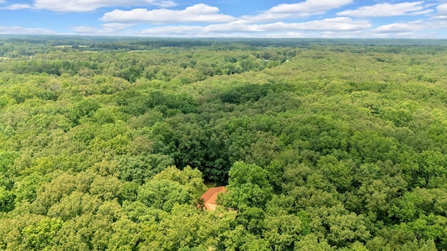 620 Belmont Rd, Manchester, TN 37355 - photo 52