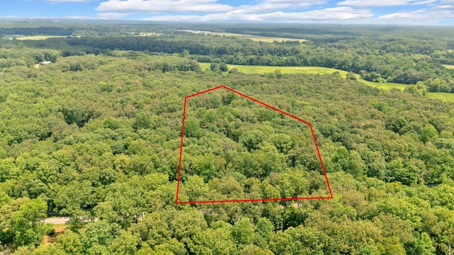 620 Belmont Rd, Manchester, TN 37355 - photo 49