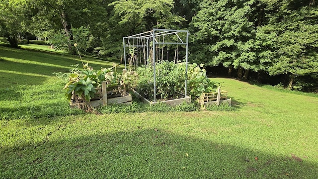 940 Everyman Ct, Columbia, TN 38401 - photo 6