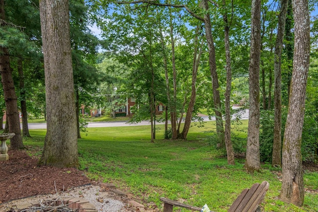 716 Wabash Pl, Nashville, TN 37221 - photo 64