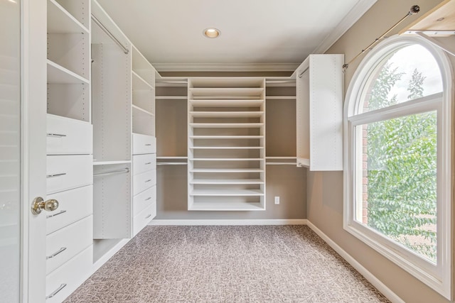 716 Wabash Pl, Nashville, TN 37221 - photo 45